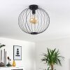 Wharua Ceiling Light black, 1-light source