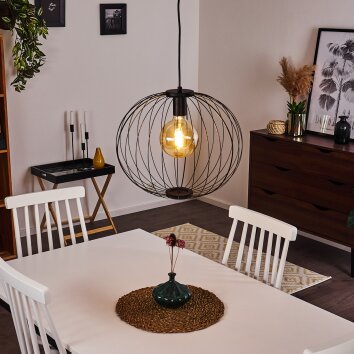 Wharua Pendant Light black, 1-light source