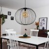 Wharua Pendant Light black, 1-light source