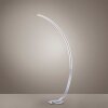 Paul Neuhaus Q-VITO Floor Lamp LED stainless steel, 1-light source, Remote control