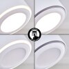 Appleton Ceiling Light LED white, 1-light source