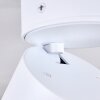 Appleton Ceiling Light LED white, 1-light source
