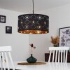 Trasancos Pendant Light black, 1-light source