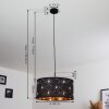 Trasancos Pendant Light black, 1-light source
