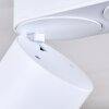 Appleton Ceiling Light LED white, 2-light sources