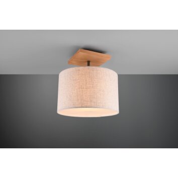 Trio Elmau Ceiling Light dark brown, matt nickel, 1-light source