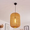 Krens Pendant Light black, 1-light source