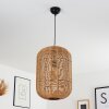 Krens Pendant Light black, 1-light source