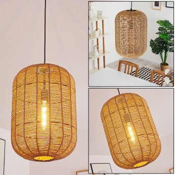 Krens Pendant Light black, 1-light source