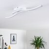 Letala Ceiling Light LED white, 2-light sources
