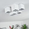 Karaka Ceiling Light white, 6-light sources