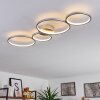 Rodekro Ceiling Light LED matt nickel, 4-light sources