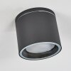 Macoupin Ceiling Light black, 1-light source