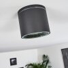 Macoupin Ceiling Light black, 1-light source