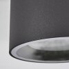 Macoupin Ceiling Light black, 1-light source