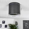Macoupin Ceiling Light black, 1-light source