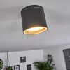 Macoupin Ceiling Light black, 1-light source