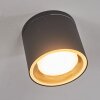 Macoupin Ceiling Light black, 1-light source