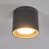 Macoupin Ceiling Light black, 1-light source