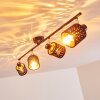 Liared Ceiling light black, 4-light sources