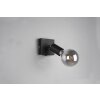 Reality Vannes Spotlight black, 1-light source