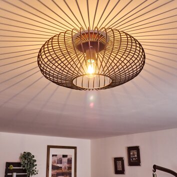 Wemude Ceiling Light copper, black, 1-light source