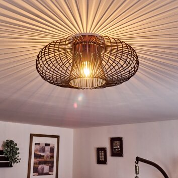 Wemude Ceiling Light copper, black, 1-light source