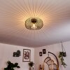 Wemude Ceiling Light black-gold, 1-light source
