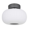 Globo  Ceiling Light LED anthracite, matt nickel, 1-light source