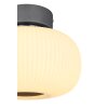 Globo  Ceiling Light LED anthracite, matt nickel, 1-light source