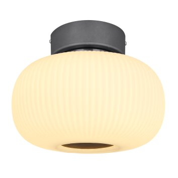 Globo  Ceiling Light LED anthracite, matt nickel, 1-light source