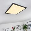 Salmi Ceiling Light LED black, white, 1-light source
