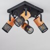 Lenalau Ceiling Light black, 4-light sources