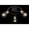Globo FIASTRA Ceiling Light black, 3-light sources