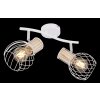 Globo LUISE Spotlight white, 2-light sources