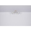 Globo WIHO Spotlight Dark wood, white, 2-light sources