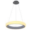 Globo TABANO Pendant Light LED anthracite, 1-light source, Remote control