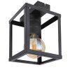 Globo HAGAR Ceiling Light black, 1-light source