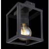 Globo HAGAR Ceiling Light black, 1-light source
