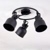 Juliboy Ceiling Light black, 3-light sources