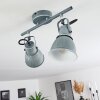 Susu Ceiling Light grey, 2-light sources