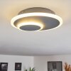 Harea Ceiling Light LED grey, 1-light source