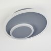 Harea Ceiling Light LED grey, 1-light source