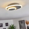 Harea Ceiling Light LED grey, 1-light source