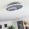 Harea Ceiling Light LED grey, 1-light source