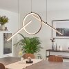 Alelua Pendant Light LED grey, 1-light source, Remote control