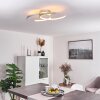 GUINEA Ceiling Light LED titanium, 2-light sources