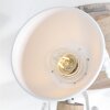 Steinhauer Gearwood Ceiling Light brown, white, 3-light sources