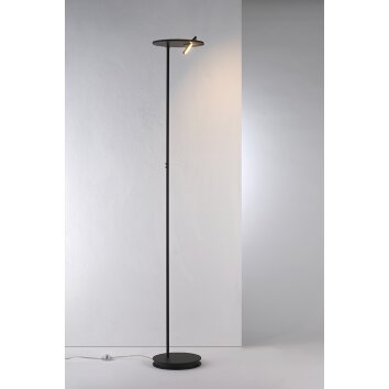 Bopp-Leuchten SHARE UpLighter LED black, 1-light source