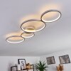 Rodekro Ceiling Light LED matt nickel, 1-light source